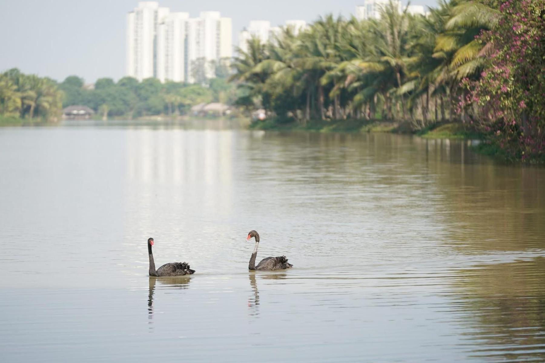 مبيت وإفطار Hung Yen Haven Park- Noi Nghi Binh An المظهر الخارجي الصورة